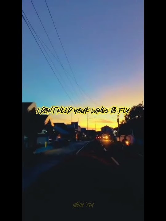 STORY WA 'DON'T NEED YOUR WINGS TO FLY' #hero #cashcash #newwhatsappstatus