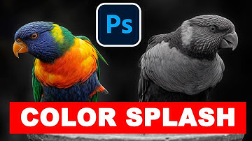 How to Create a Color Splash Effect in Photoshop (Fast Edit Tutorial)