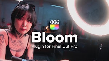Don’t Waste your Money on Filters! - Bloom Plugin for Final Cut Pro