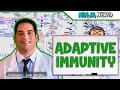 Immunology  adaptive immunity