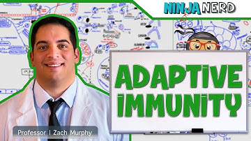 Immunology | Adaptive Immunity