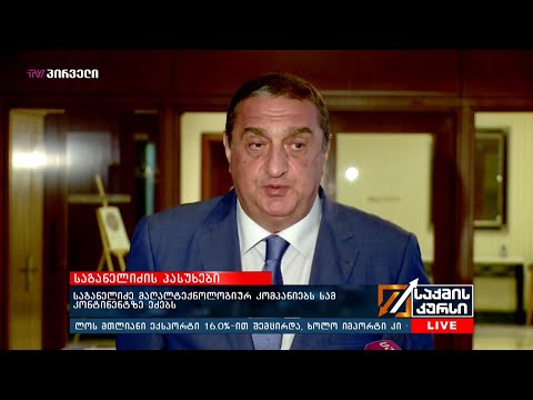 საგანელიძე მაღალტექნოლოგიურ კომპანიებს სამ კონტინენტზე ეძებს