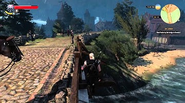The Witcher 3: Roach dismount glitch