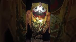 Durga Puja 2025🙏 (Bhubaneswar)odisha#Durgapuja#shorts#masti#viralvideo#smartcity#Bbsr#song#light