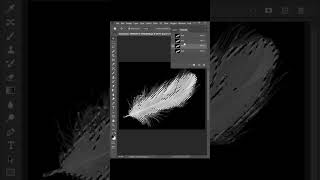 Remove Feather background in Photoshop #feather #background #photoshop