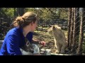 Belgrade Zoo 2011 Episode 3 Part 2