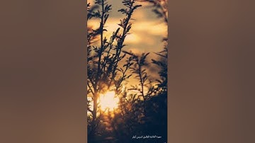 ادريس ابكر سورة المائدة كاملة دقة عالية للقارئ ادريس ابكر #قرآن #قران_للنوم #ادريس_ابكر #صوت_جميل