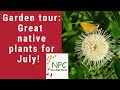 July garden tournortheast natives that rock your garden