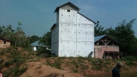 Suara Walet Inap Super  Kalimantan # Swiftlet Sound Call