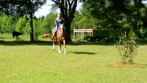 Shes not crazy shes just a mare.