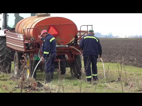 Uzurpirano Zemljište Pretvoreno U šumu Hrasta Lužnjaka