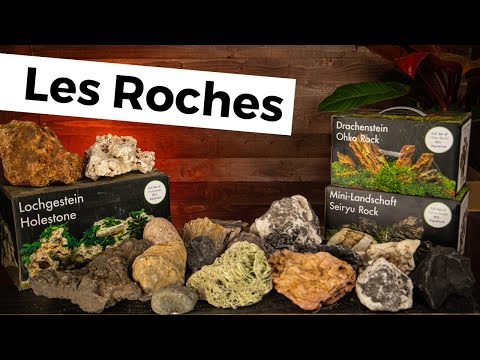 Vidéo: Quels types de roches trouve-t-on dans les Blue Mountains ?