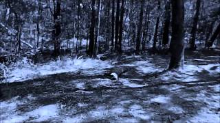 Dream Sequence Nightmare