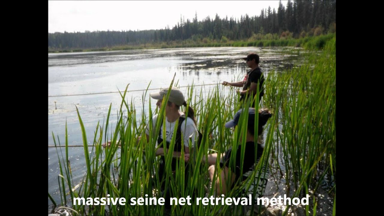 The van den Heuvel Lab - Canadian Rivers Institute Student Video ...