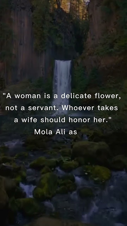 Reference: Bihar al-Anwar, Vol. 103, p. 238 #women_respect_video #wiferights #quotesaboutlove
