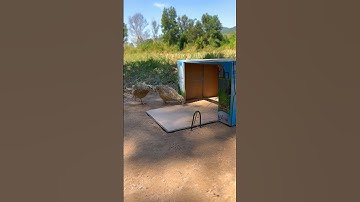 Great Trap Idea That Works #shorts trap #youtubeshorts