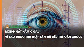 Mống mắt nằm ở đâu, vì sao được thu thập làm dữ liệu thẻ căn cước?