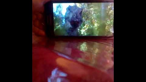 Spinosaurus vs tyranosaurio Rex jurassic park 3