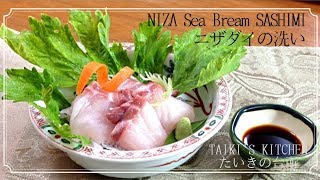 刺身 二ザダイ サンノジをさばいて 洗いのお刺身を作る Nizadai Sea Bream Sashimi Youtube