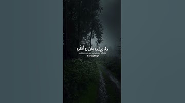 ستوريات الصباح القران الكريم اذكار الصباح القران الكريم#القرآن_الكريم#اكتب_شي_تؤجر_عليه#راحة_نفسية