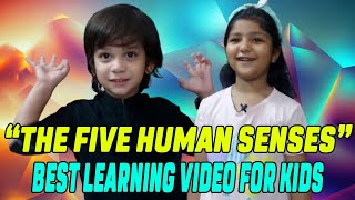 HOW HUMAN SENSES WORK ?  | THE FIVE SENSES | BEST LEARNING VIDEO FOR KIDS | FIVE HUMAN SENSES |