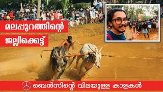 Kalapoot മുതുവല്ലൂർ കാളപ്പൂട്ട് (Cattle Race) മലപ്പുറം