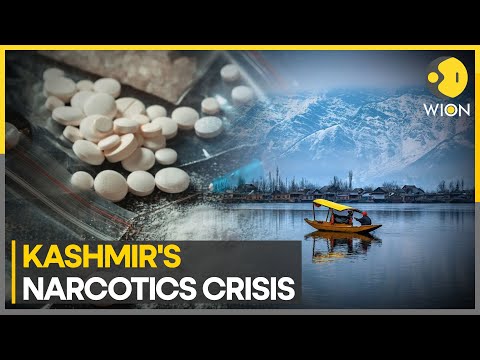 Jammu & Kashmir government's massive crackdown on drug peddlers | WION Pulse