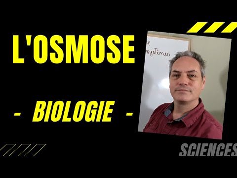 Vidéo: Où se produit l'osmose dans le corps humain?