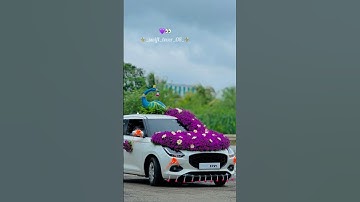 Swift lover ❤️‍🩹😍 Trending instagram viral video #love #swift #song