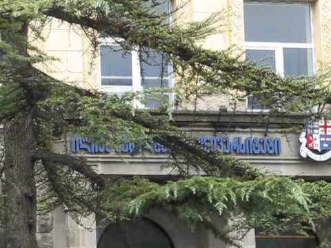 Chavchavadze Ave [part IV] - ჭავჭავაძის გამზ. [IV] (Tbilisi, Georgia)