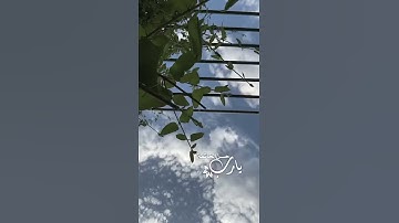 تبارك الذي بيده الملك وهو على كل شيء قدير - سورة الملك 🦋💙