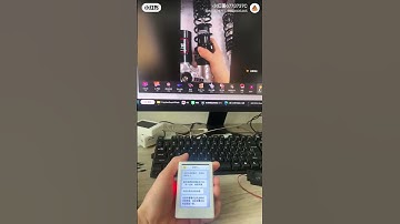 小智ai自动回复直播间弹幕消息支持tiktok，抖音，和youtube