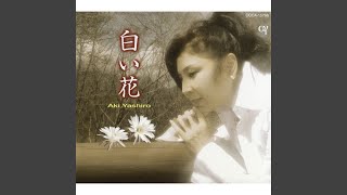 白い花 (オリジナル・カラオケ) - YouTube