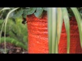 How to Create Beautiful Flower Pot Gardens : Landscaping & Garden Design