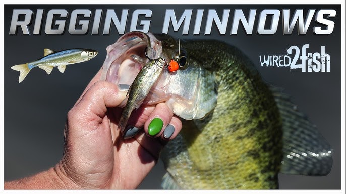 A Simple Tournament Bass Fishing Culling System 
