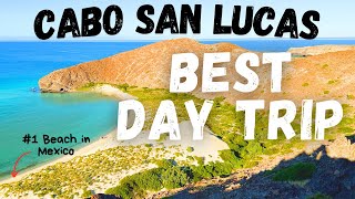 Mexico's TopRated Beach is the PERFECT Day Trip from Cabo (Balandra Beach)