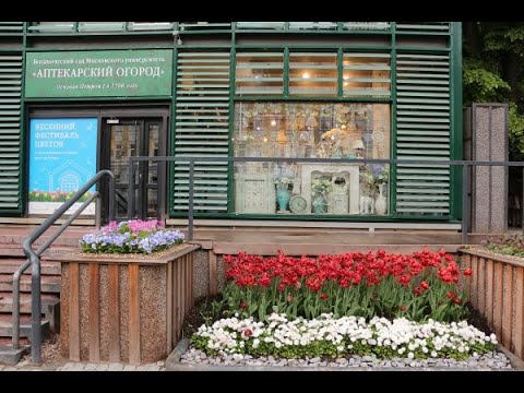 Сад аптекарский огород фото