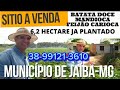 SÍTIO A VENDA, 6,2 HECTARE, ESCRITURADO. TODO PLANTADO: BATATA DOCE, MANDIOCA E FEIJÃO.(R$300.000)