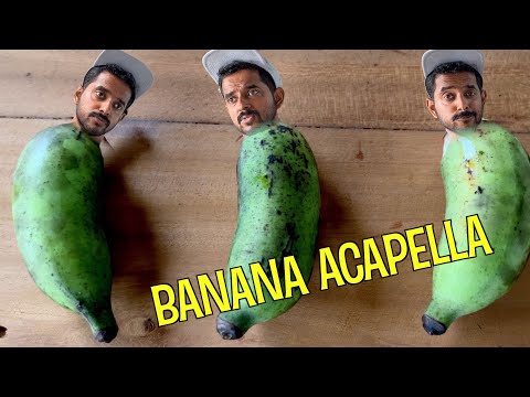 Baby Banana - Music Video