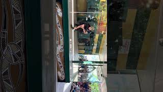 Snake show