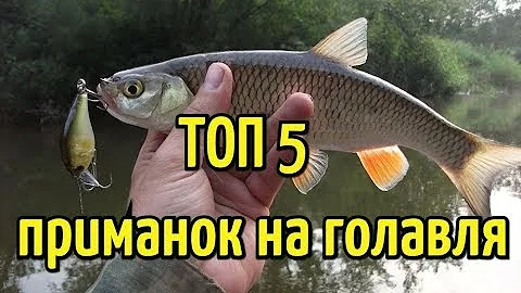 ТОП 5 лучших приманок для ловли голавля на спиннинг