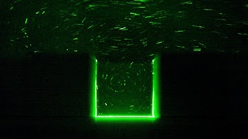 Cavity Video 30 fps @ 0.2 m/sec in a water tunnel