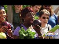 News 2 Celebrate Dolly's legacy, the zoo and 15 tons of chicken wings