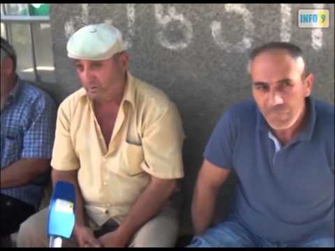 საარჩევნო ბანერი მოიპარეს