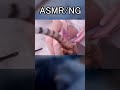 【ASMR/NG】乾いた太ももをスクラッチ👐💖するはずが… #asmr #vtuber #猫動画 #catshorts