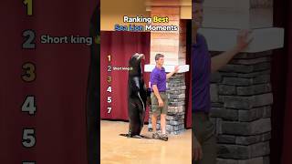 Ranking Best Sea Lion Moments