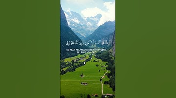 فاختلف الاحزاب من بينهم سورة الزخرف | بدر البشر