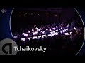 Tchaikovsky: Swan Lake - Noord Nederlands Orkest conducted by Bas Wiegers - Live Classical Music