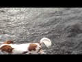 海に行って来たよ