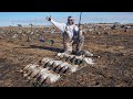 4 Man Mallard Limit in One Hour!! South Dakota Duck Hunting